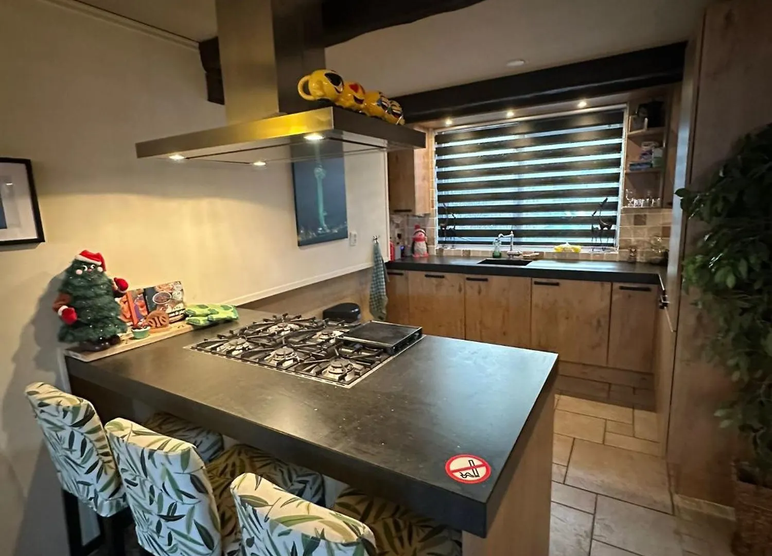 Rotterdam Luxury House Villa 0*,  Nederland